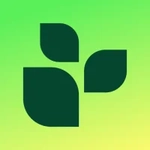 Lifesum: Счётчик калорий с ИИ