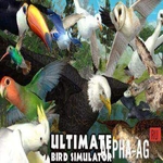 Взломанный Ultimate Bird Simulator