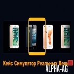 Кейс Симулятор Реальных Вещей
