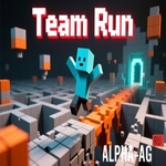 Взломанная Team Run