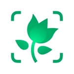 PictureThis растения признать
