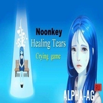 Noonkey