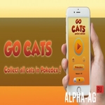 Cats GO